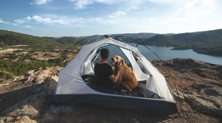 Dog owner backpacking in a tent with his dog