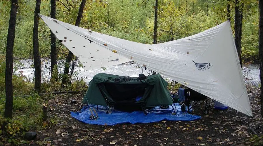 Camping with a tent cot in the forest