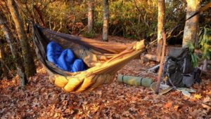 Hammock camping in the woods at sunrise