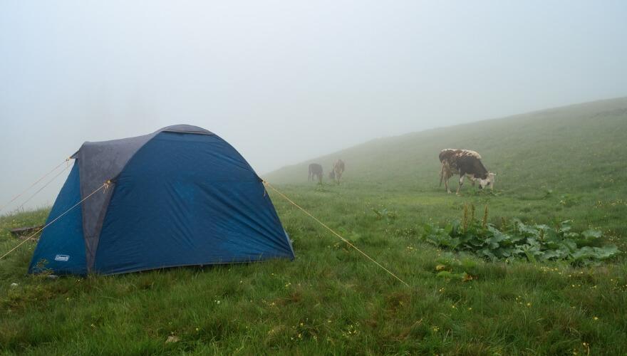 Coleman tents up in the mountains